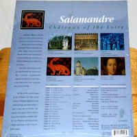 Salamandre Chateaux of the Loire Rare LaserDisc Documentary *CLEARANCE*