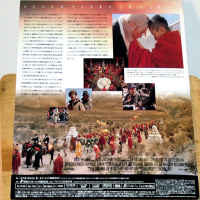 Seven Years in Tibet AC-3 Widescreen Rare LaserDisc